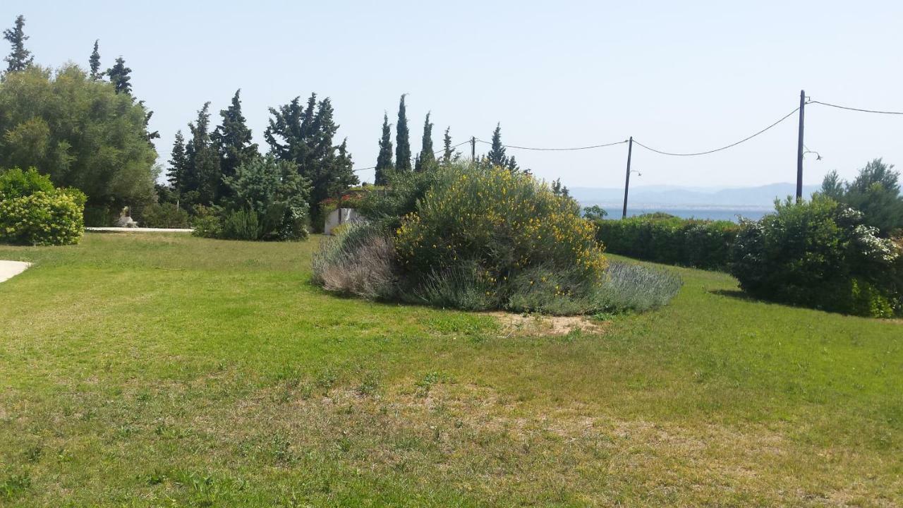 Beautiful House By The Sea,Loutraki Skaloma. Villa Eksteriør bilde
